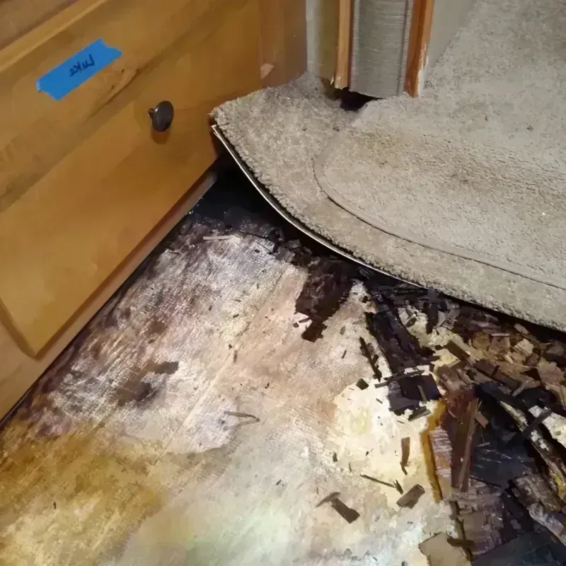 Wood Floor Water Damage in Singac, NJ